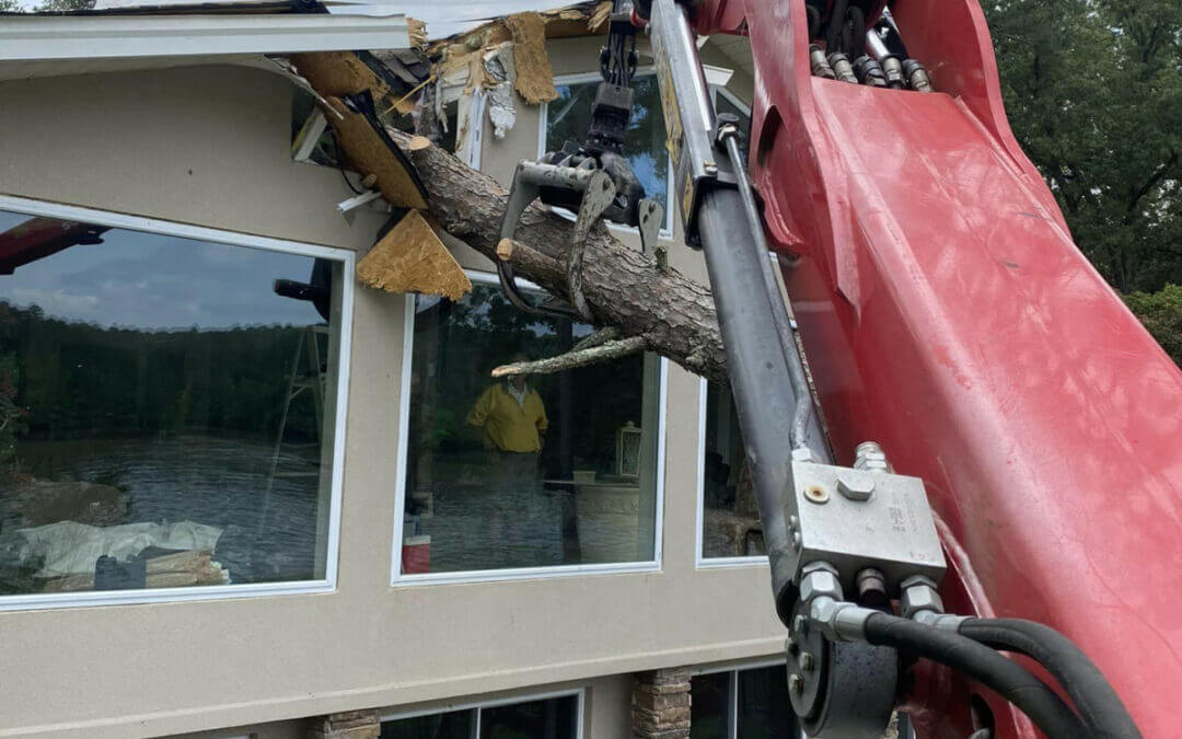 Urban Jacks Tree Service: Your Trusted Partner for Emergency Tree Services