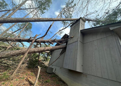 Land Clearing Services Hot Spring AR