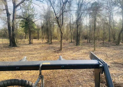 Tree Cabling Services Hot Spring AR