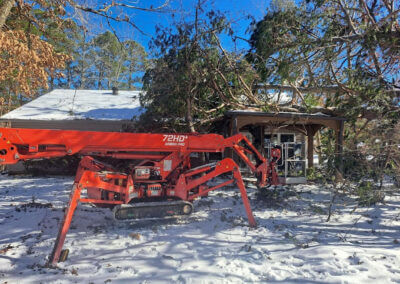 Tree Removal Arkadelphia AR