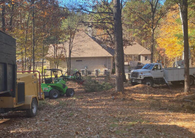 Tree Removal Hot Spring AR
