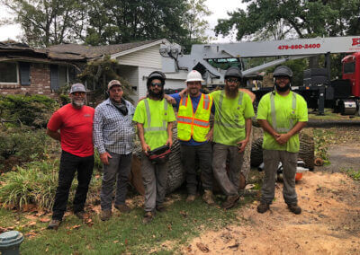 Tree Removal Lake Hamilton AR