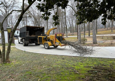 Tree Removal Rockwell AR