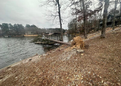 Tree Removal Royal AR