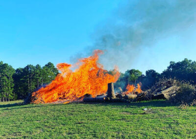 Tree Removal Services Hot Spring AR