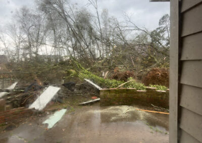 Tree Services Bismarck AR