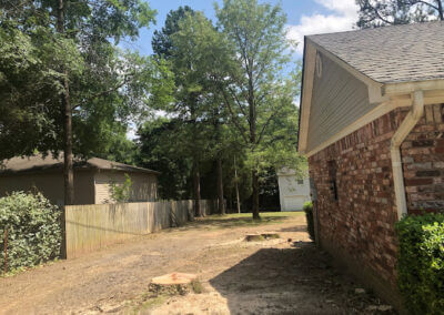 Tree Services Malvern AR