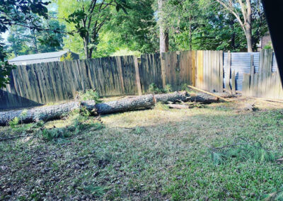 Tree Services Pearcy AR