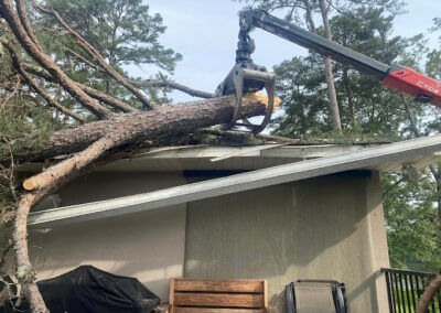 Tree Trimming Removal Hot Spring AR