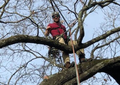 Urban Jacks Tree Service