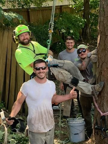 Expert Tree Trimming in Hot Springs, AR