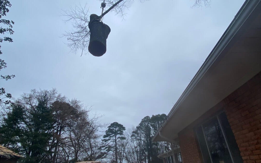 Dangerous tree removal services available in Hot Springs, AR