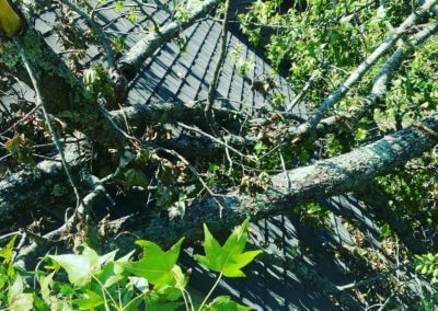 surrounding communities