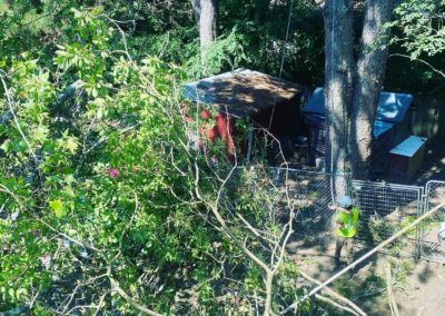 storm damage hot springs