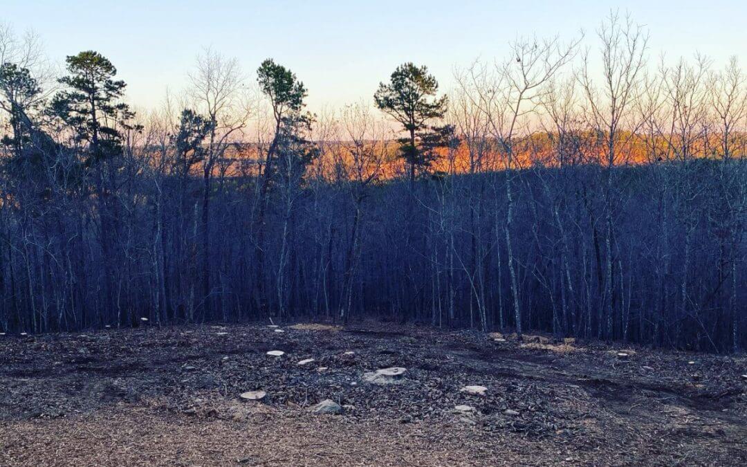 Professional Land Clearing Services Available in Hot Springs, AR