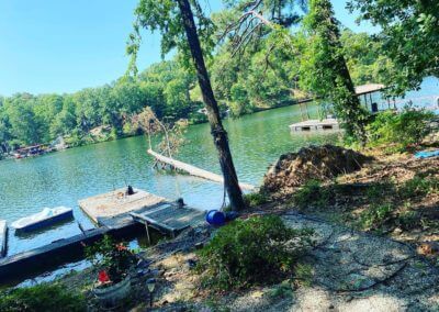 emergency tree service hot springs ar