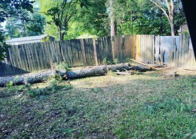 emergency tree service and storm cleanup hot springs ar
