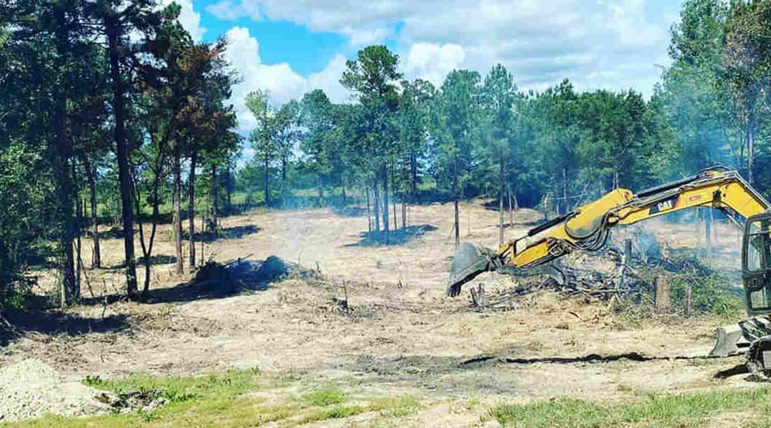 Stump Grinding vs. Removal: What’s the Difference?