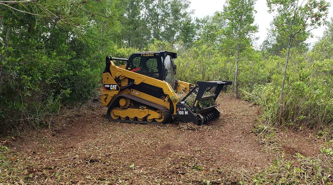 What Is Forestry Mulching and How Does It Work in Hot Springs Village, AR?